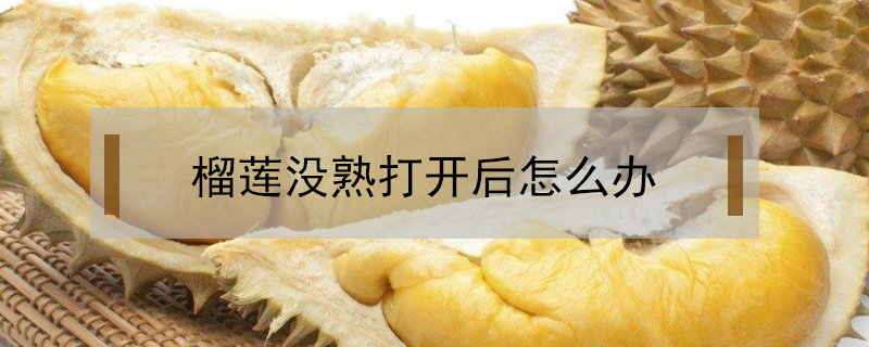 榴蓮沒熟打開后怎么辦
