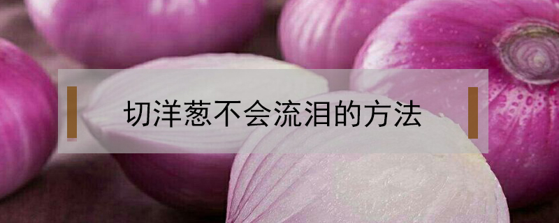切洋蔥不會(huì)流淚的方法