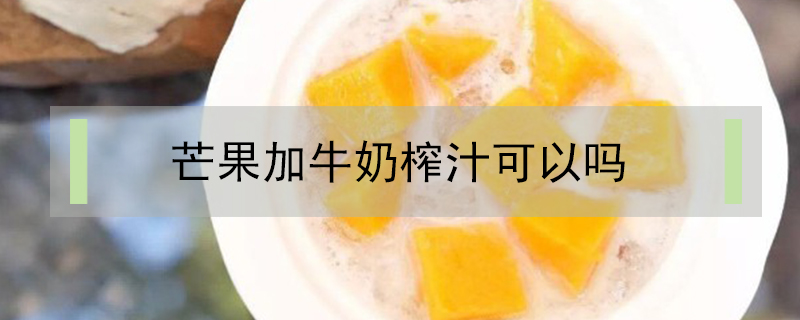 芒果加牛奶榨汁可以嗎