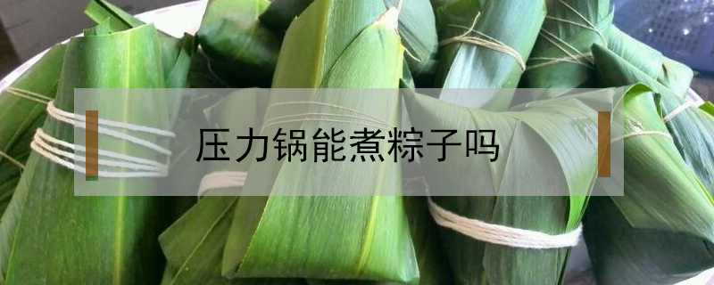 壓力鍋能煮粽子嗎