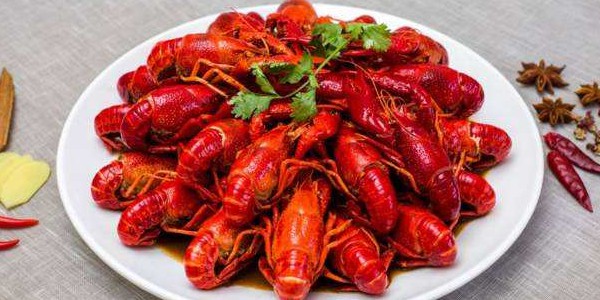 小龍蝦的黃是什么部位
