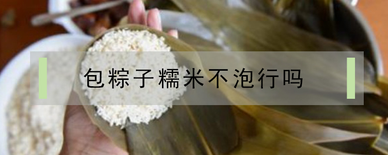 包粽子糯米不泡行嗎