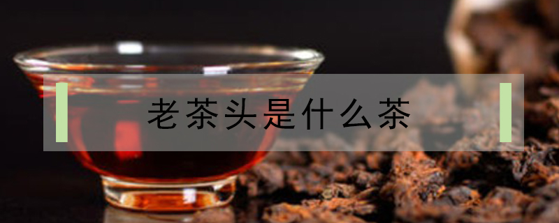 老茶頭是什么茶