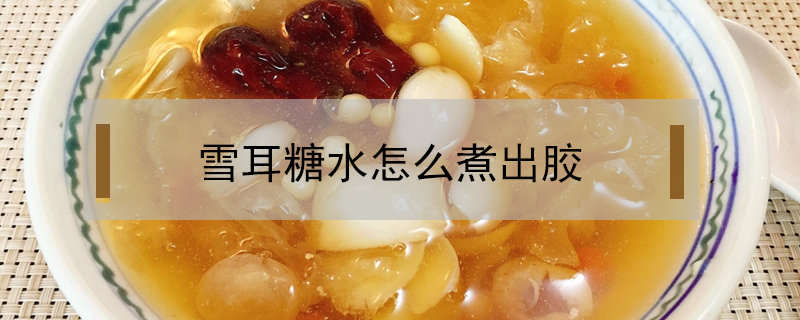 雪耳糖水怎么煮出膠