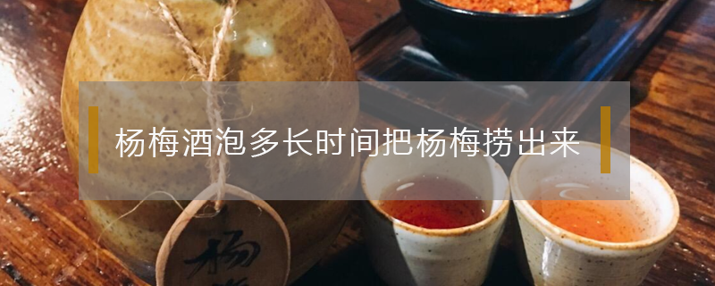 楊梅酒泡多長時間把楊梅撈出來