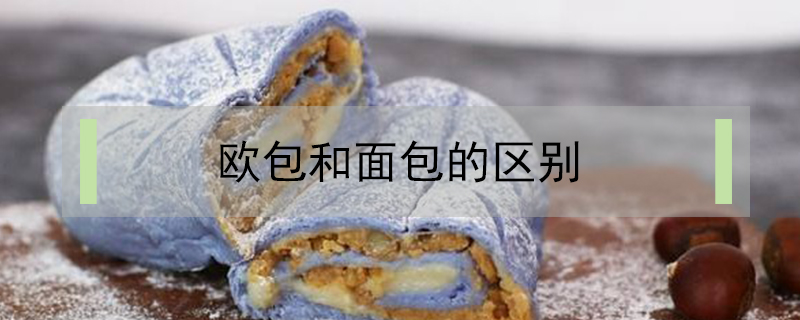 歐包和面包的區別