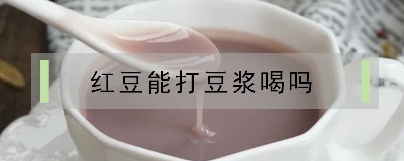 紅豆能打豆漿喝嗎