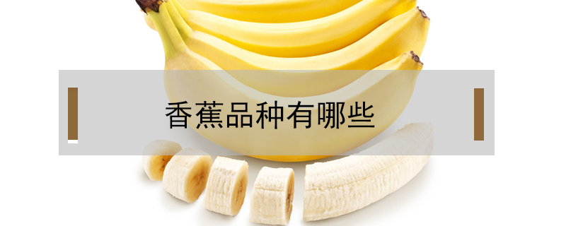 香蕉品種有哪些