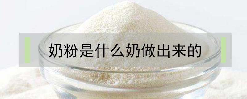 奶粉是什么奶做出來(lái)的