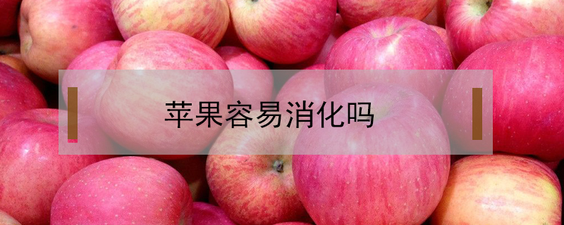 蘋果容易消化嗎
