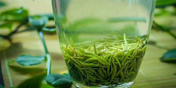 信陽毛尖是不是綠茶