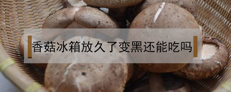 香菇冰箱放久了變黑還能吃嗎