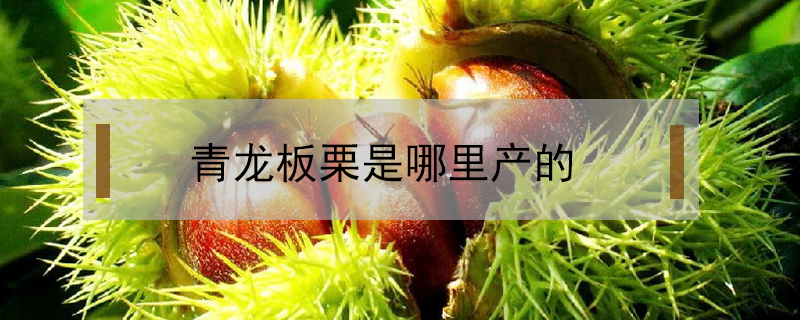 青龍板栗是哪里產(chǎn)的