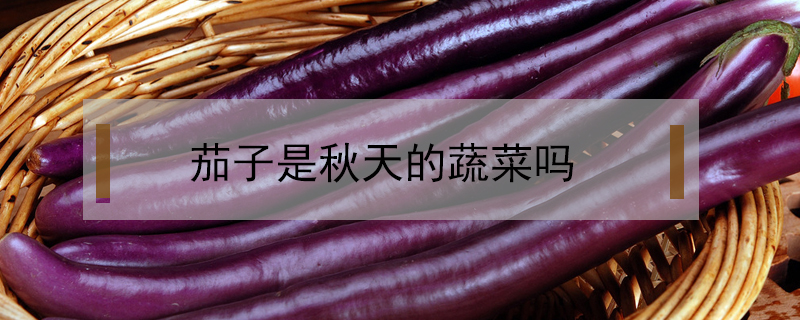 茄子是秋天的蔬菜嗎