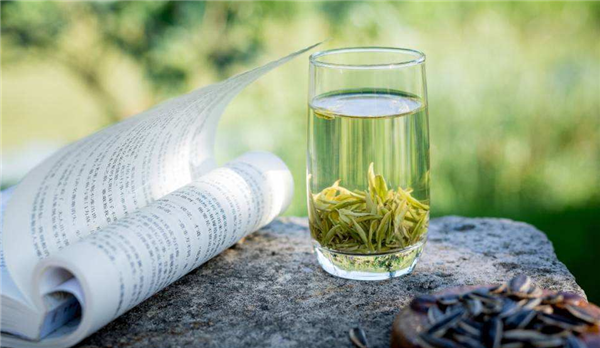 安吉白茶怎么區分等級