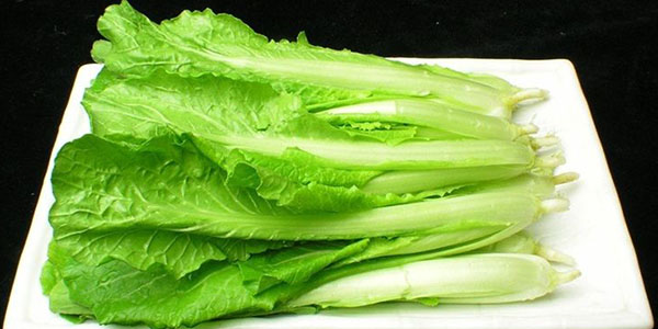 小白菜的10種花樣吃法