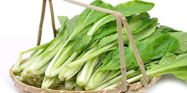 小白菜的10種花樣吃法