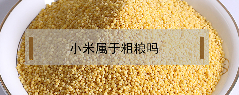 小米屬于粗糧嗎