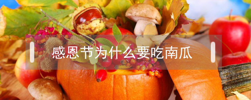 感恩節(jié)為什么要吃南瓜