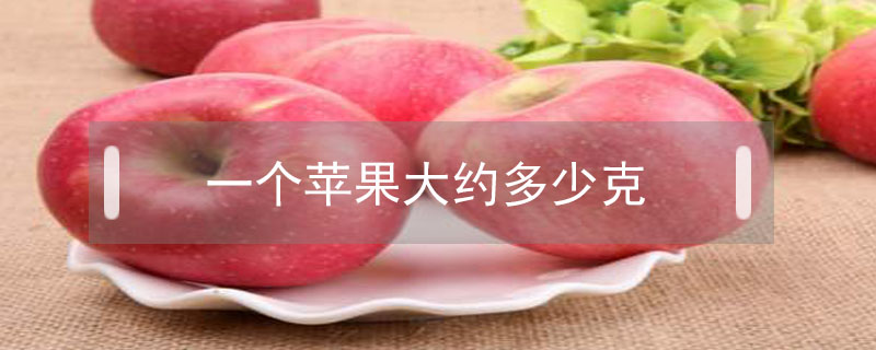 一個蘋果大約多少克