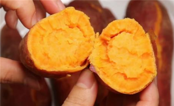 蒸紅薯需要多長時間