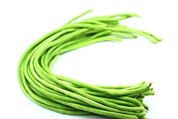 毛豆是什么季節(jié)的