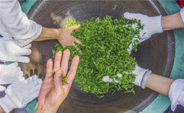 茶葉過期還能喝嗎未開封