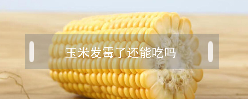 玉米發霉了還能吃嗎
