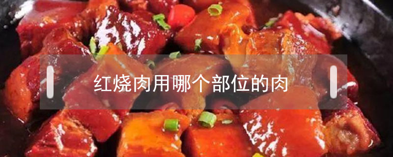 紅燒肉用哪個(gè)部位的肉