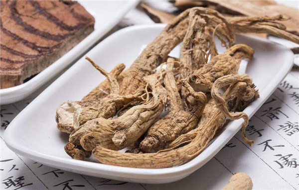 當歸能泡水喝嗎