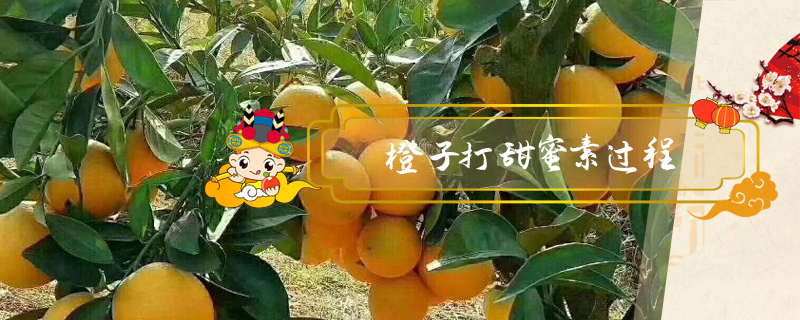 橙子打甜蜜素過(guò)程