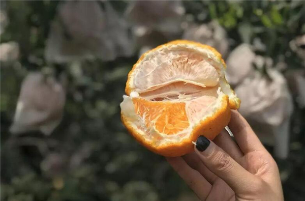 橙子打甜蜜素過(guò)程