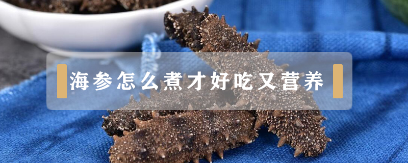 海參怎么煮才好吃又營(yíng)養(yǎng)