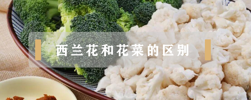 西蘭花和花菜的區(qū)別