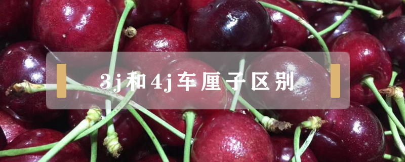3j和4j車厘子區(qū)別