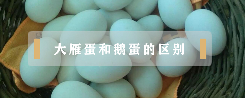 喝完酒能吃車厘子嗎