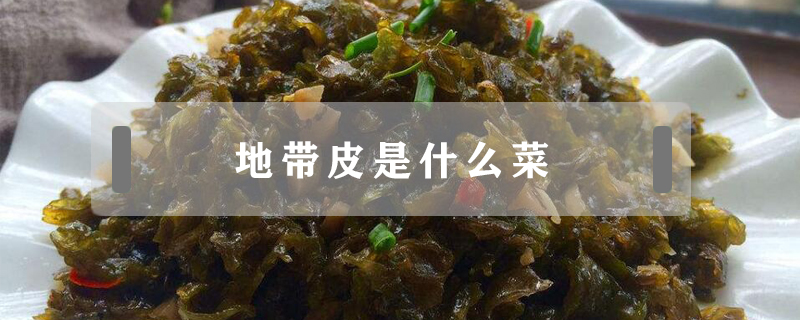 地帶皮是什么菜