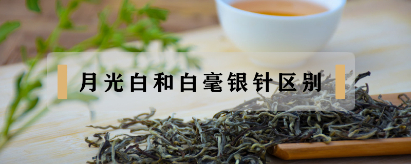 月光白和白毫銀針區別