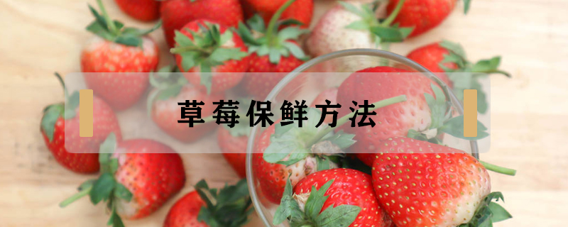 草莓保鮮方法