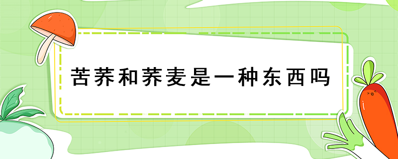 苦蕎和蕎麥?zhǔn)且环N東西嗎