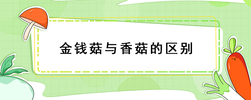金錢菇與香菇的區別