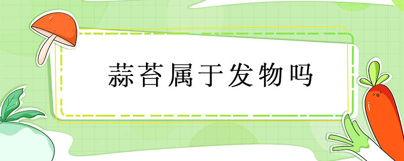 蒜苔屬于發(fā)物嗎