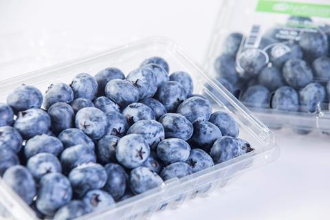 Bloom Fresh收購(gòu)秘魯Inka’s Berries”零需冷“藍(lán)莓品種項(xiàng)目